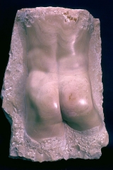 Richard Botticino